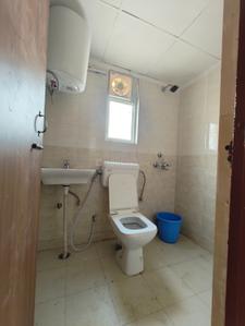 Bathroom Image of 980 Sq.ft 3 BHK Apartment / Flat for rent in ROF Amaltas, Sector 92 Gurgaon for Rs. 22500