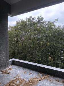 Living Room Image of 3150 Sq.ft 5 BHK Apartment / Flat for sale in Bangalore City Municipal Corporation Layout Bengaluru for Rs. 29000110