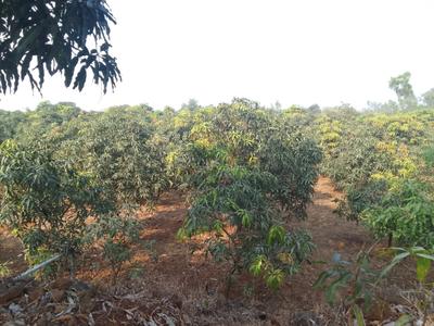 Image of 90000 Sq.ft Residential Plot / Land for sale in Trimbak, Nashik for Rs. 27500000