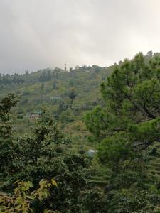 Image of 6450 Sq.ft Residential Plot / Land for sale in Mukteshwar, Nainital for Rs. 2700000