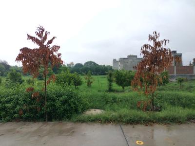 Image of 990 Sq.ft Residential Plot / Land for sale in Amolik Aster Woods, Sector 98, Faridabad for Rs. 16800000