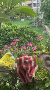 Image of 900 Sq.ft 2 BHK Independent House for rent in Lajpat Nagar, New Delhi for Rs. 40000