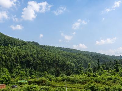 Image of 130 Sq.ft Residential Plot / Land for sale in Sahastradhara Road, Dehradun for Rs. 6500000