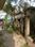 Ghola, Sodepur Main Image 1