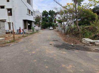 The Urban Forest Plot View 2
