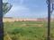 vgn Iyyappathangal Plot View 2