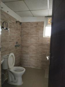 Common Bathroom Image of 1285 Sq.ft 3 BHK Apartment / Flat for sale in Ajnara Le Garden, Noida Extension Greater Noida for Rs. 10300000