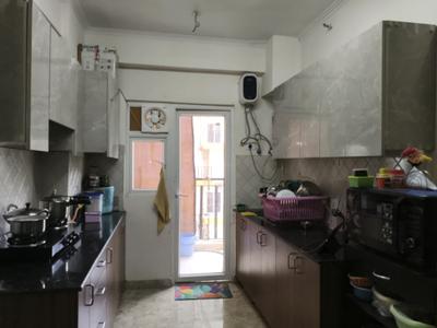 Kitchen Image of 1400 Sq.ft 3 BHK Apartment / Flat for rent in Amrapali Centurian Park, Techzone IV Greater Noida West, Greater Noida, Noida Extension Greater Noida for Rs. 25000