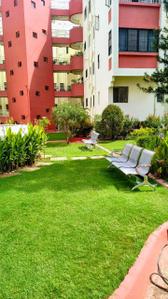 Image of 1750 Sq.ft 2 BHK Apartment / Flat for rent in Koregaon Park, Pune for Rs. 65000