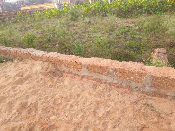 Jagamara Main Image 1