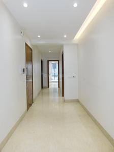 Hall Image of 1250 Sq.ft 3 BHK Builder Floor for sale in East Of Kailash New Delhi for Rs. 30000000