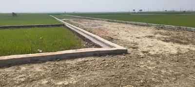 Image of 1250 Sq.ft Residential Plot / Land for sale in Kunraghat, Gorakhpur for Rs. 1250000