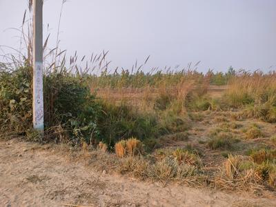 Image of 3000 Sq.ft Residential Plot / Land for sale in Suman Nagar, Haridwar for Rs. 1900000