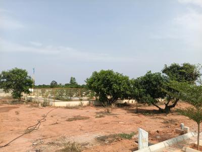 Residential Plot
