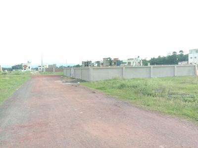 Swapnabhumi Plot View 2