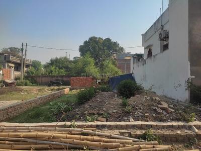Tarna More Images 2