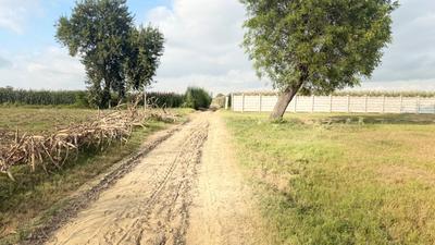 Image of 1800 Sq.ft Residential Plot / Land for sale in Barsana, Mathura for Rs. 2000000
