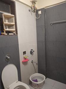 Sachdev Complex  Bathroom Two 4