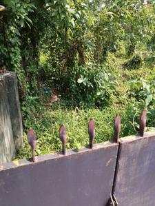 Rajarhat Chowmatha Plot View 2