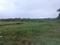 Vindhane Plot View 2