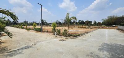 Thyme Park Plot View 3
