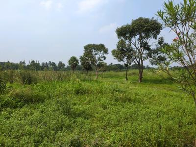 Image of 720 Sq.ft Residential Plot / Land for sale in Nest Valley, Joka, Kolkata for Rs. 151511