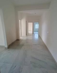 Hall Image of 863 Sq.ft 2 BHK Apartment / Flat for sale in Behala Kolkata for Rs. 3600000