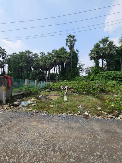 Sadasivam Nagar, Madipakkam Main Image 1