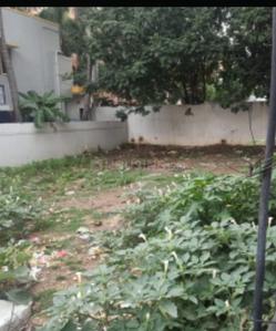 Sector 4 Plot View 1