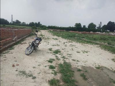 Sultanpur Village Plot View 3