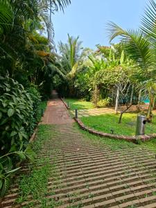 Image of 1800 Sq.ft 2 BHK Penthouse for sale in Assagao, Goa for Rs. 32000000