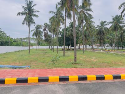 Layout Plot View 3