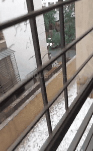Image of 650 Sq.ft 1 BHK Apartment / Flat for sale in KK Moreshwar, Ulwe, Navi Mumbai for Rs. 5500000