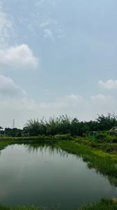 Image of 5000 Sq.ft Residential Plot / Land for sale in Kapasda, Durg for Rs. 2875000