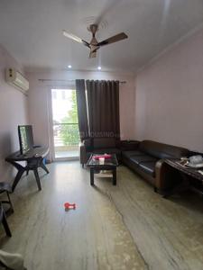 Hall Image of 2350 Sq.ft 3 BHK Builder Floor for rent in Sector 51 Gurgaon for Rs. 52000