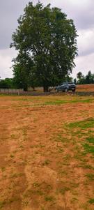 Image of 4047 Sq.ft Residential Plot / Land for sale in Patel Nagar, Bhopal for Rs. 2900000