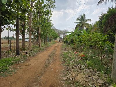 Image of 174240 Sq.ft Residential Plot / Land for sale in Doddaballapura, Bengaluru for Rs. 104000000