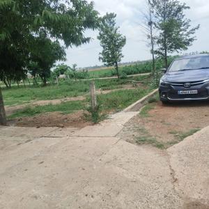 Thimmapuram Plot View 3