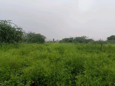 Rohini sector 34 Plot View 2