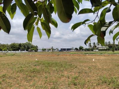 Image of 750 Sq.ft Residential Plot / Land for sale in Ellappalayam, Coimbatore for Rs. 1119000