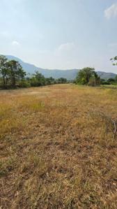 Image of 11000 Sq.ft Residential Plot / Land for sale in Harishchandri, Pune for Rs. 1700000