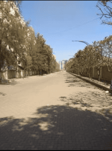 Image of 1250 Sq.ft 2 BHK Apartment / Flat for sale in Alcon Silverleaf, Mundhwa, Pune for Rs. 9779000