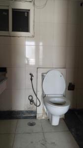 Image of 960 Sq.ft 2 BHK Apartment / Flat for rent in Assotech Windsor Park, Indirapuram, Ghaziabad for Rs. 30000