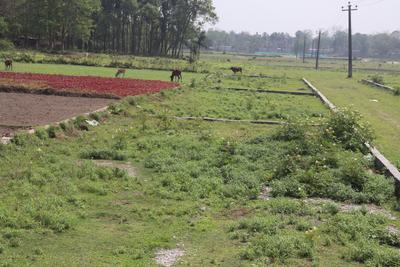 Image of 720 Sq.ft Residential Plot / Land for sale in Ranga Pani, Siliguri for Rs. 699000