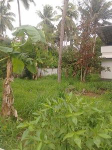 Image of 19602 Sq.ft Residential Plot / Land for sale in Kuttoor, Thrissur for Rs. 36000000