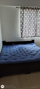 Bedroom Image of 1100 Sq.ft 2 BHK Apartment / Flat for rent in BCM Panache And Upahar Nagar Phase 1, Bicholi Hapsi Indore for Rs. 12500