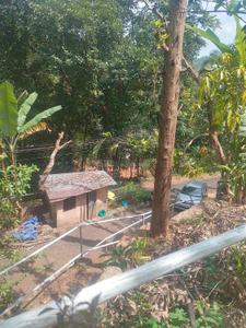 Image of 31798 Sq.ft Residential Plot / Land for sale in Killannur, Thrissur for Rs. 5500000