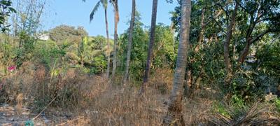 Image of 3000 Sq.ft Residential Plot / Land for sale in Kihim, Alibag for Rs. 5500000