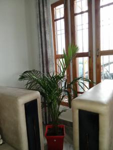 Hall Image of 1627 Sq.ft 2 BHK Villa for sale in Shyampur Rishikesh for Rs. 10000000