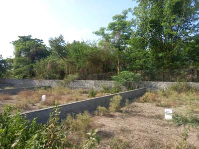 Hinjawadi Phase 2 Plot View 2